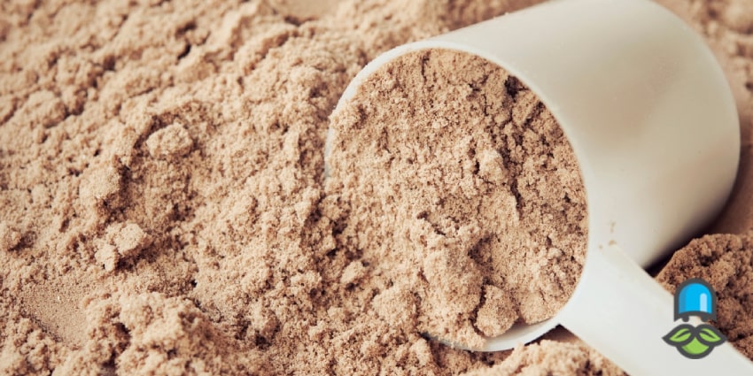  بهترین زمان مصرف روزانه پروتئین وی